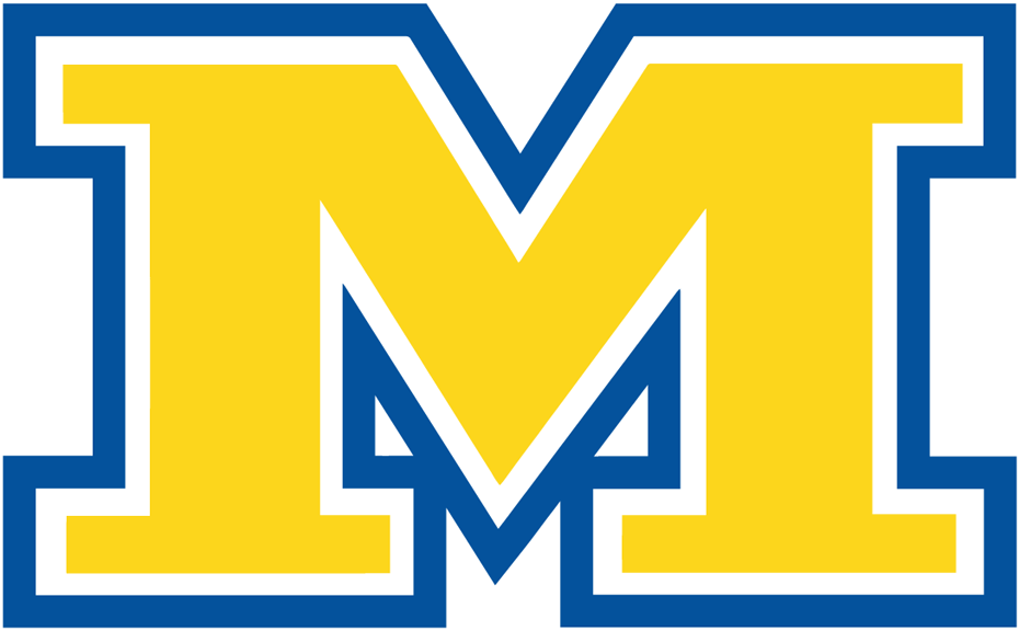 McNeese State Cowboys 2003-2010 Alternate Logo diy iron on heat transfer